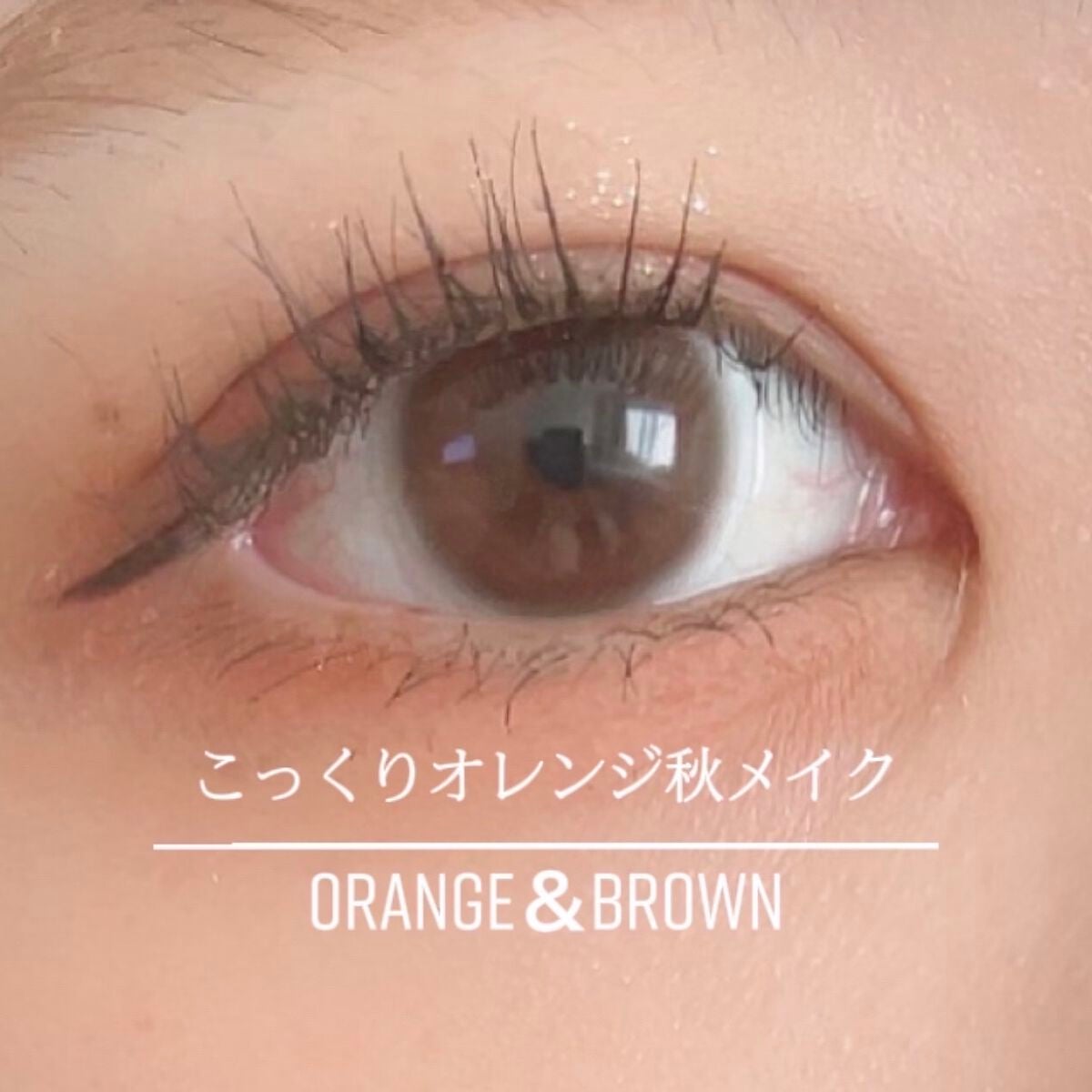 16 MY MAGAZINE/16BRAND/アイシャドウパレットを使ったクチコミ(1枚目)