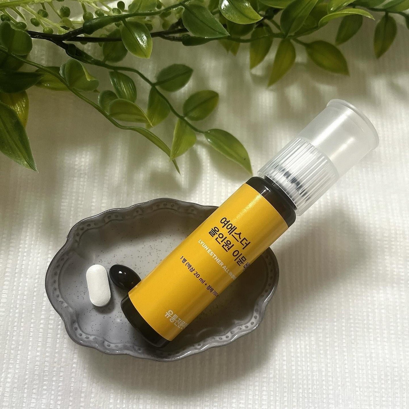 ヨエスター乳酸菌ホワイト/ESTHER FORMULA/健康サプリメントを使ったクチコミ(4枚目)