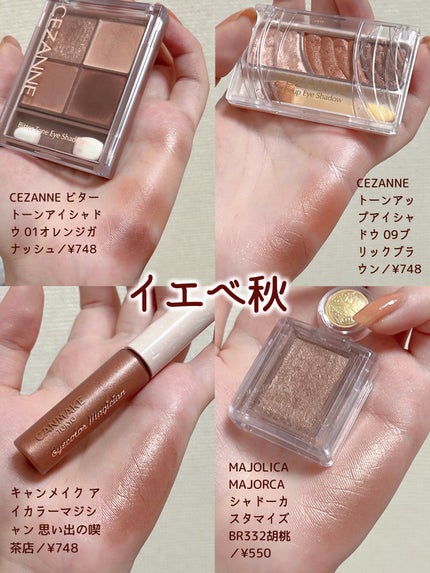 パーフェクトマルチアイズ/キャンメイク/アイシャドウパレットを使ったクチコミ(6枚目)