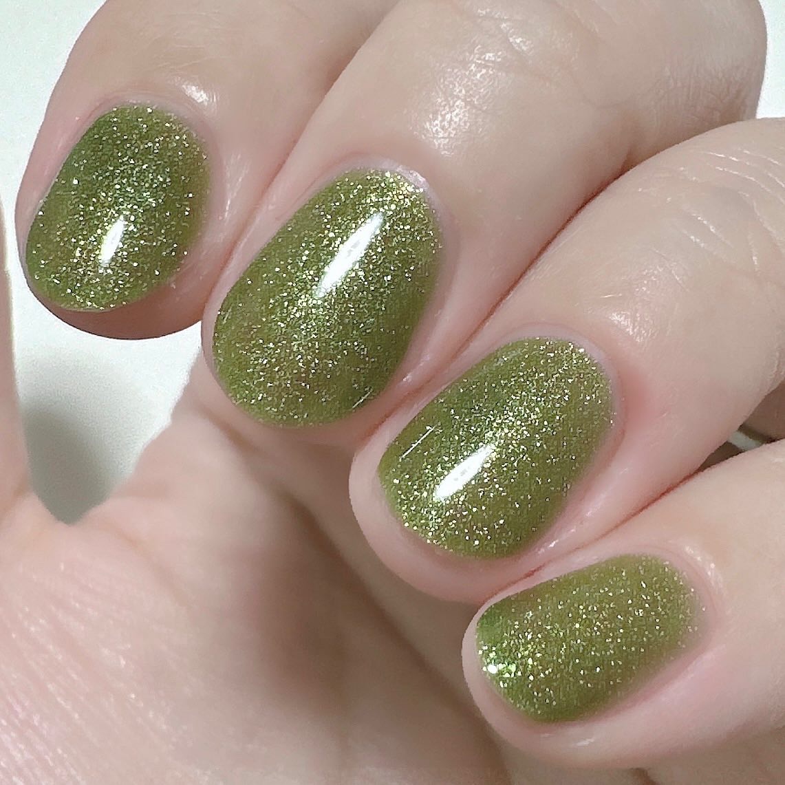 ザ ネイルポリッシュ ＋ “アンノウン ファミリア”/ADDICTION/マニキュアを使ったクチコミ（2枚目）