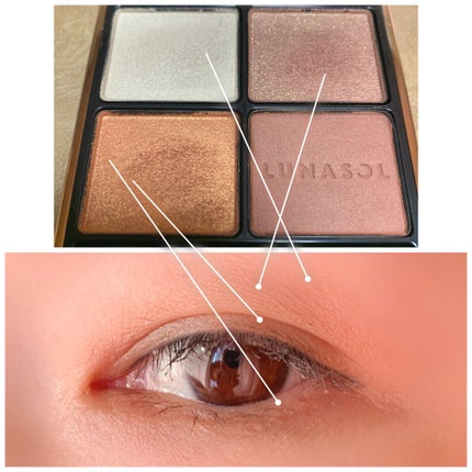 アイカラーレーション/LUNASOL/アイシャドウパレットを使ったクチコミ(2枚目)