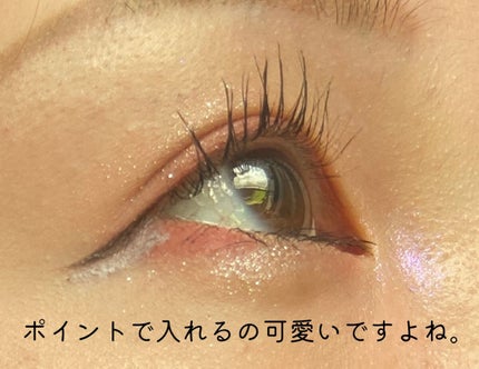 アンティークパステル ライナー/Visée/リキッドアイライナーを使ったクチコミ(4枚目)