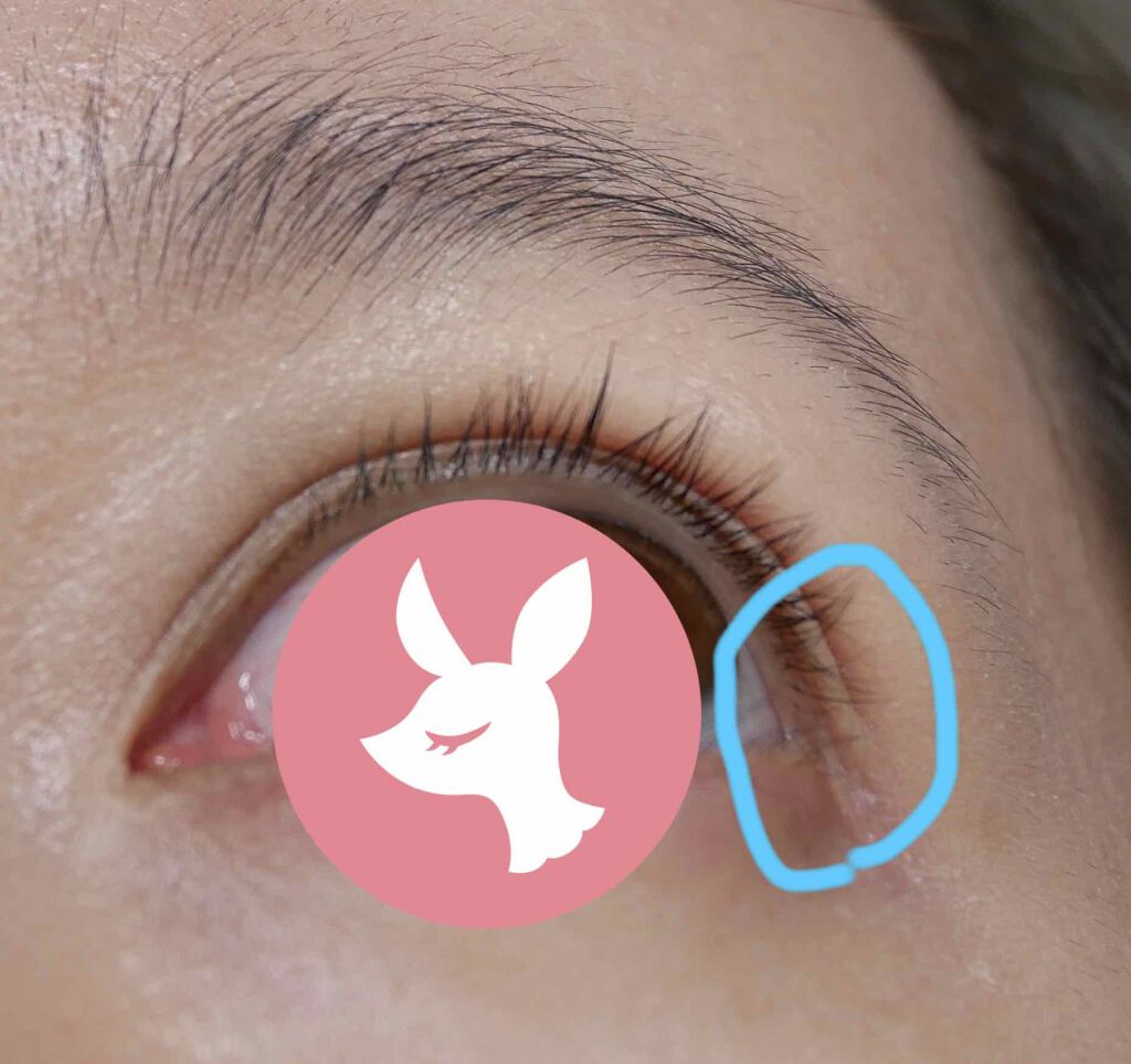 EMAKED（エマーキット）/水橋保寿堂製薬/まつげ美容液を使ったクチコミ（1枚目）