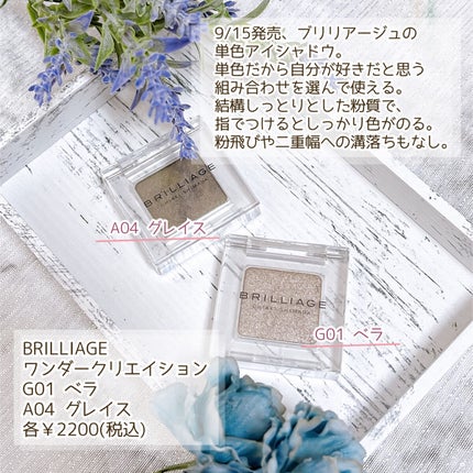 ワンダークリエイション /ブリリアージュ/単色アイシャドウを使ったクチコミ(2枚目)