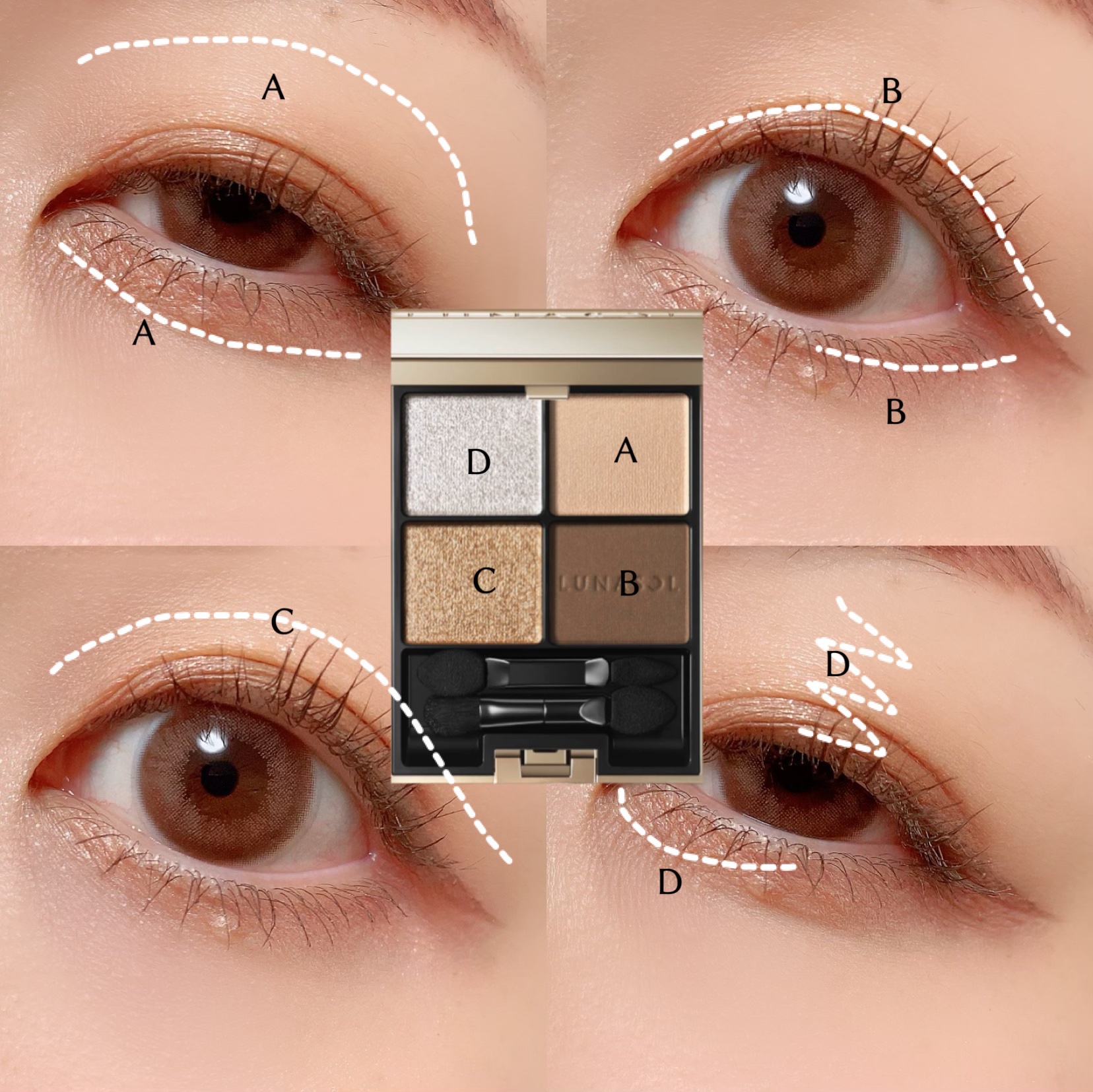 アイカラーレーション/LUNASOL/アイシャドウパレットを使ったクチコミ（2枚目）