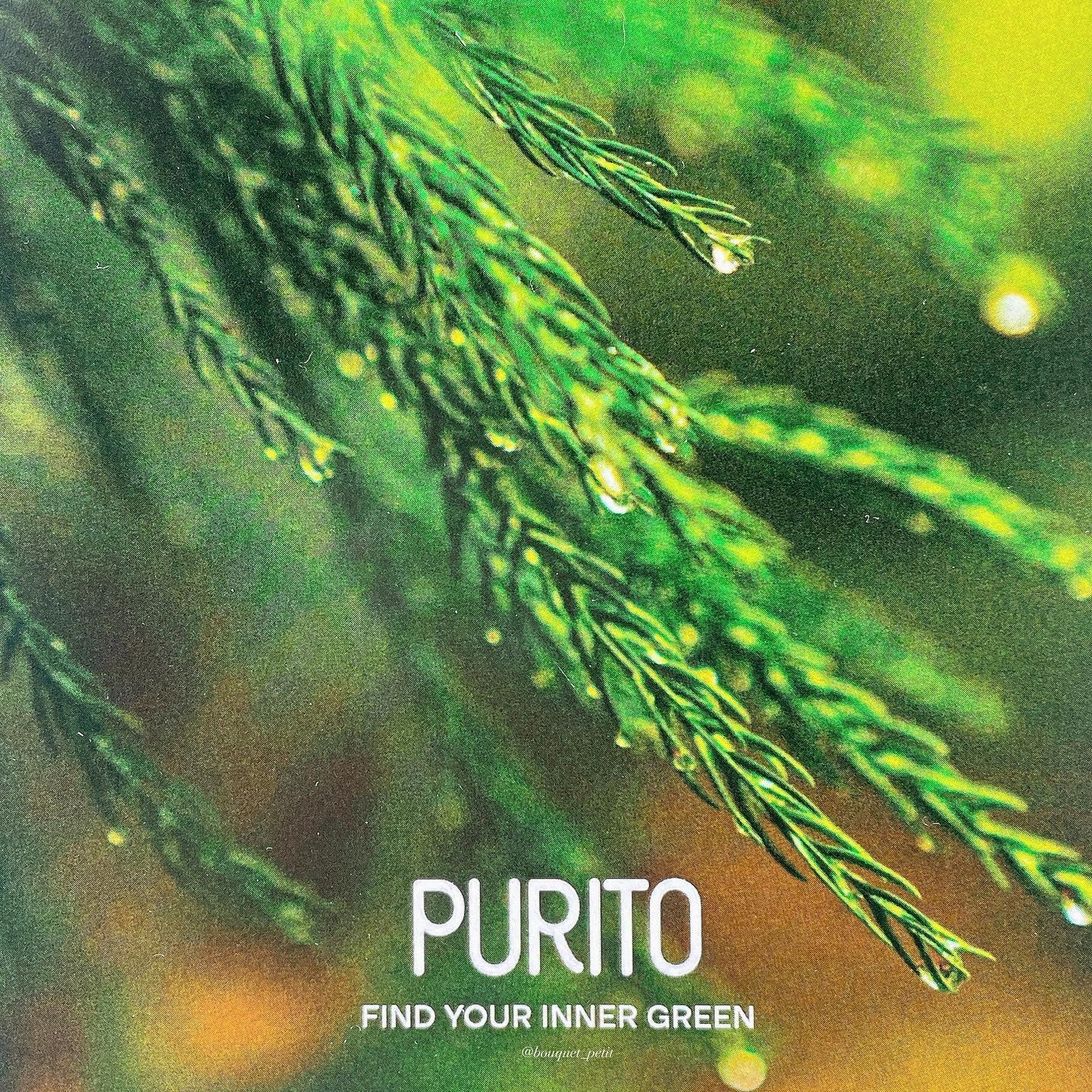 ディープシーピュアウォータークリーム/PURITO/フェイスクリームを使ったクチコミ(10枚目)