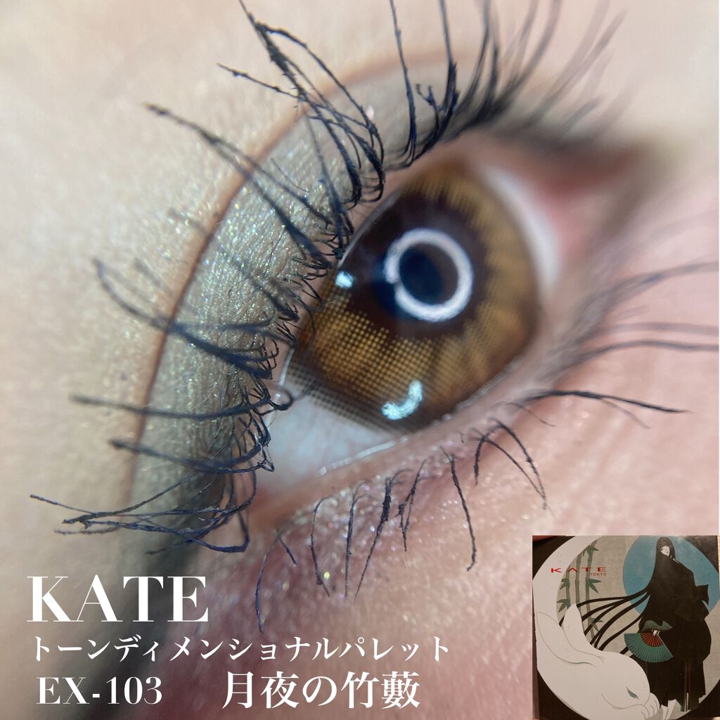 トーンディメンショナルパレット EX-103/KATE/メイクアップキットを使ったクチコミ（1枚目）