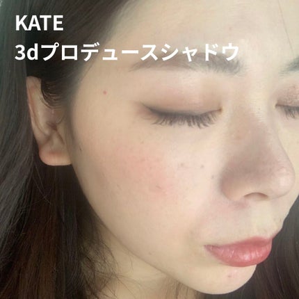 グロッシーリッチ アイズ N/Visée/アイシャドウパレットを使ったクチコミ(3枚目)