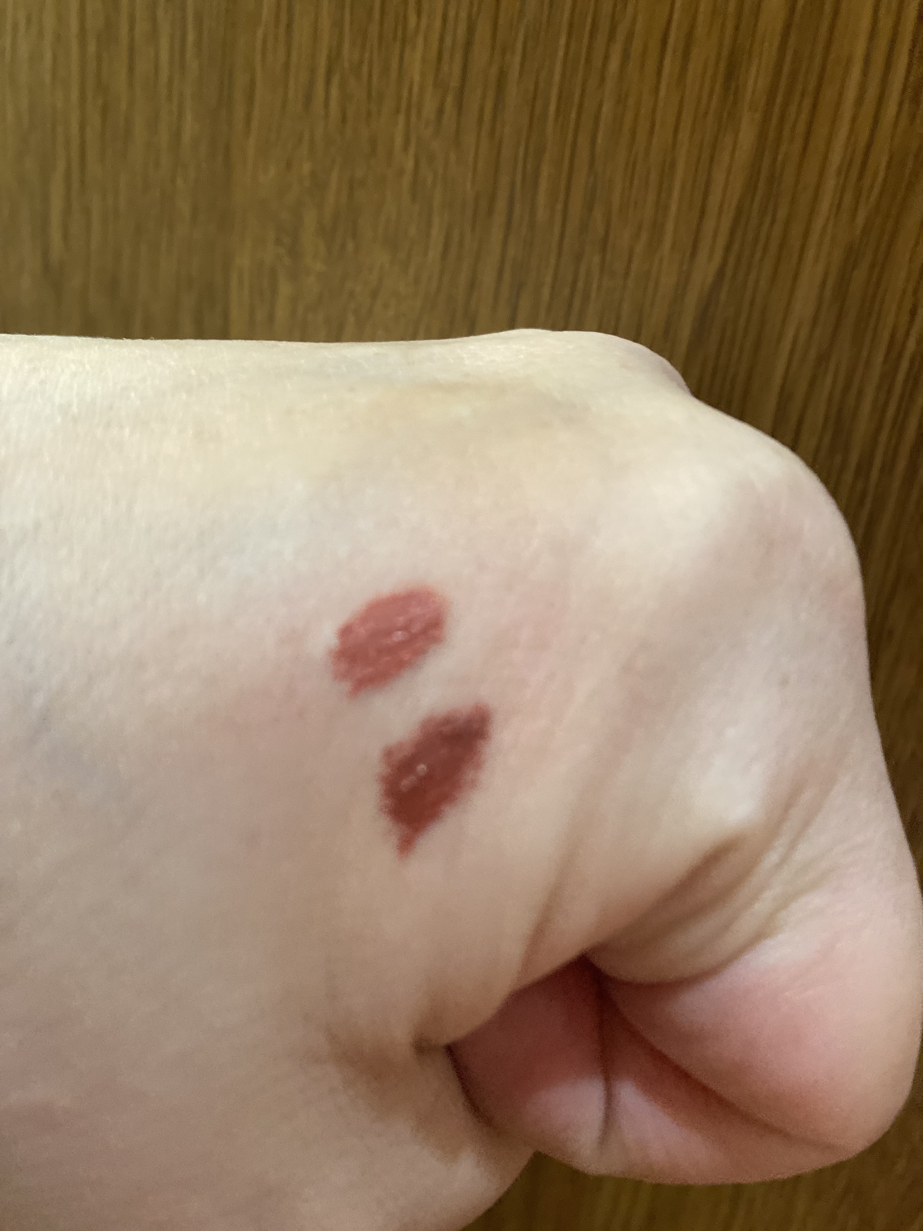 リップモンスター スフレマット/KATE/口紅を使ったクチコミ（3枚目）