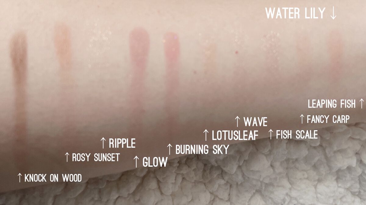 エクスプローラ12色 動物アイシャドウパレット/PERFECT DIARY/アイシャドウパレットを使ったクチコミ（3枚目）