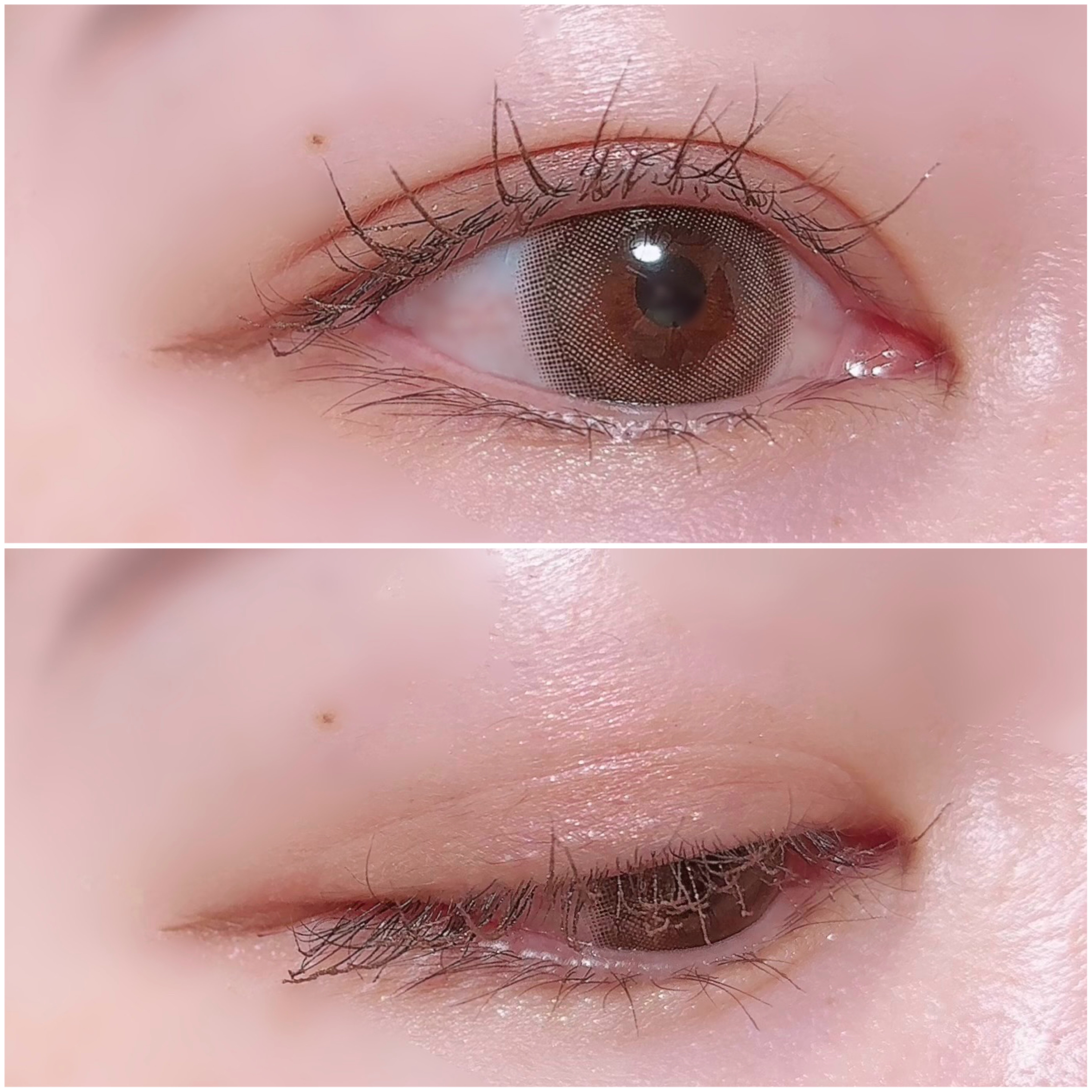 ザショッキングスピンオフパレット/TONYMOLY/アイシャドウパレットを使ったクチコミ（3枚目）