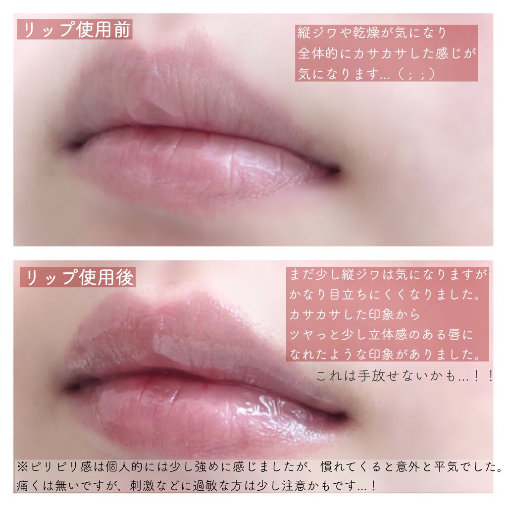 エテュセ リップエディション（プランパー）リッチスタイル/ヘルシースタイル/ettusais/リップケアを使ったクチコミ（3枚目）