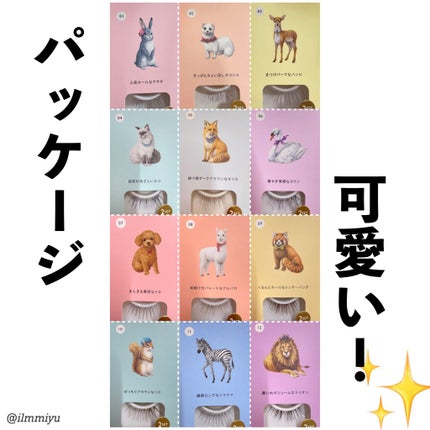 ドーリーウインク サロンアイラッシュ/ドーリーウインク/つけまつげを使ったクチコミ(10枚目)