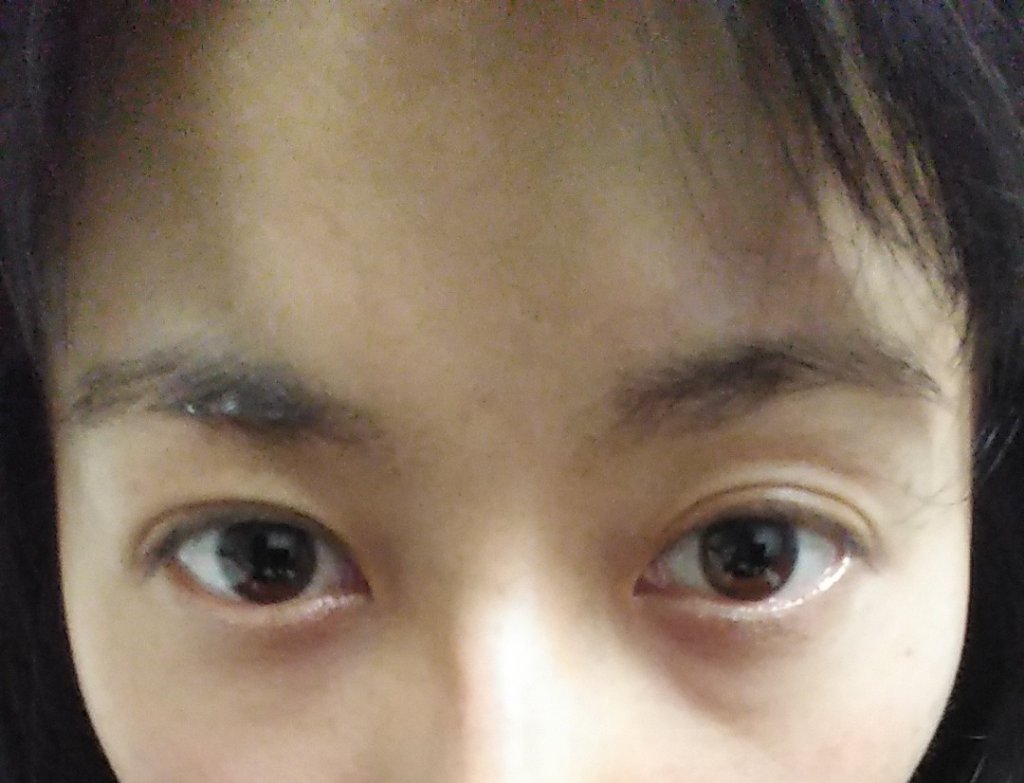 ブロウインク カラーティントデュオ/MAYBELLINE NEW YORK/眉ティントを使ったクチコミ（2枚目）