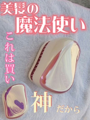 コンパクトスタイラー/TANGLE TEEZER/ヘアブラシを使ったクチコミ（1枚目）