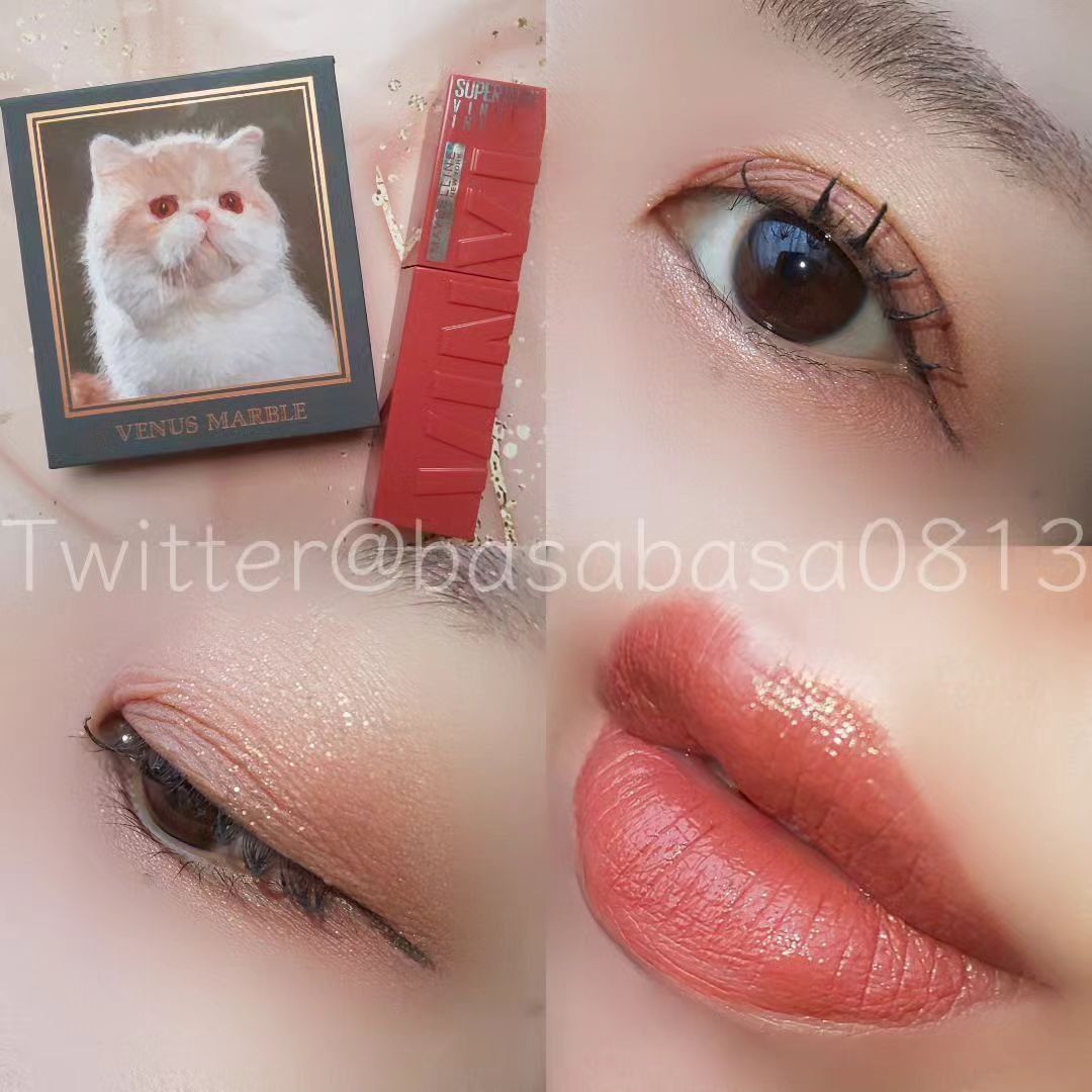 SPステイ ヴィニルインク 62 魅力的なチョコテリーヌ/MAYBELLINE NEW YORK/口紅を使ったクチコミ（1枚目）