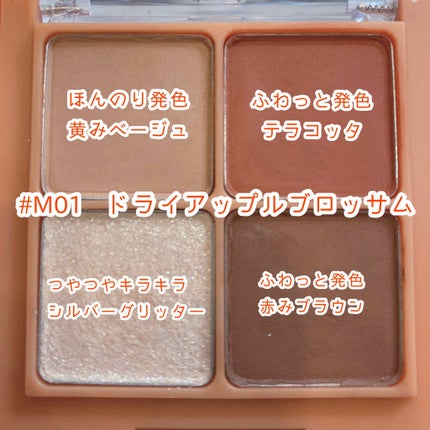 ベターザンアイズ/rom&nd/アイシャドウパレットを使ったクチコミ(4枚目)