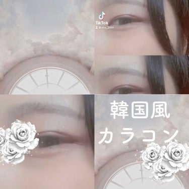 eye closet iDOL Series CANNA ROSE 1day/EYE CLOSET/ワンデー（１DAY）カラコンを使ったクチコミ（1枚目）