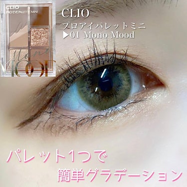 プロ アイパレット ミニ/CLIO/アイシャドウパレットを使ったクチコミ（1枚目）