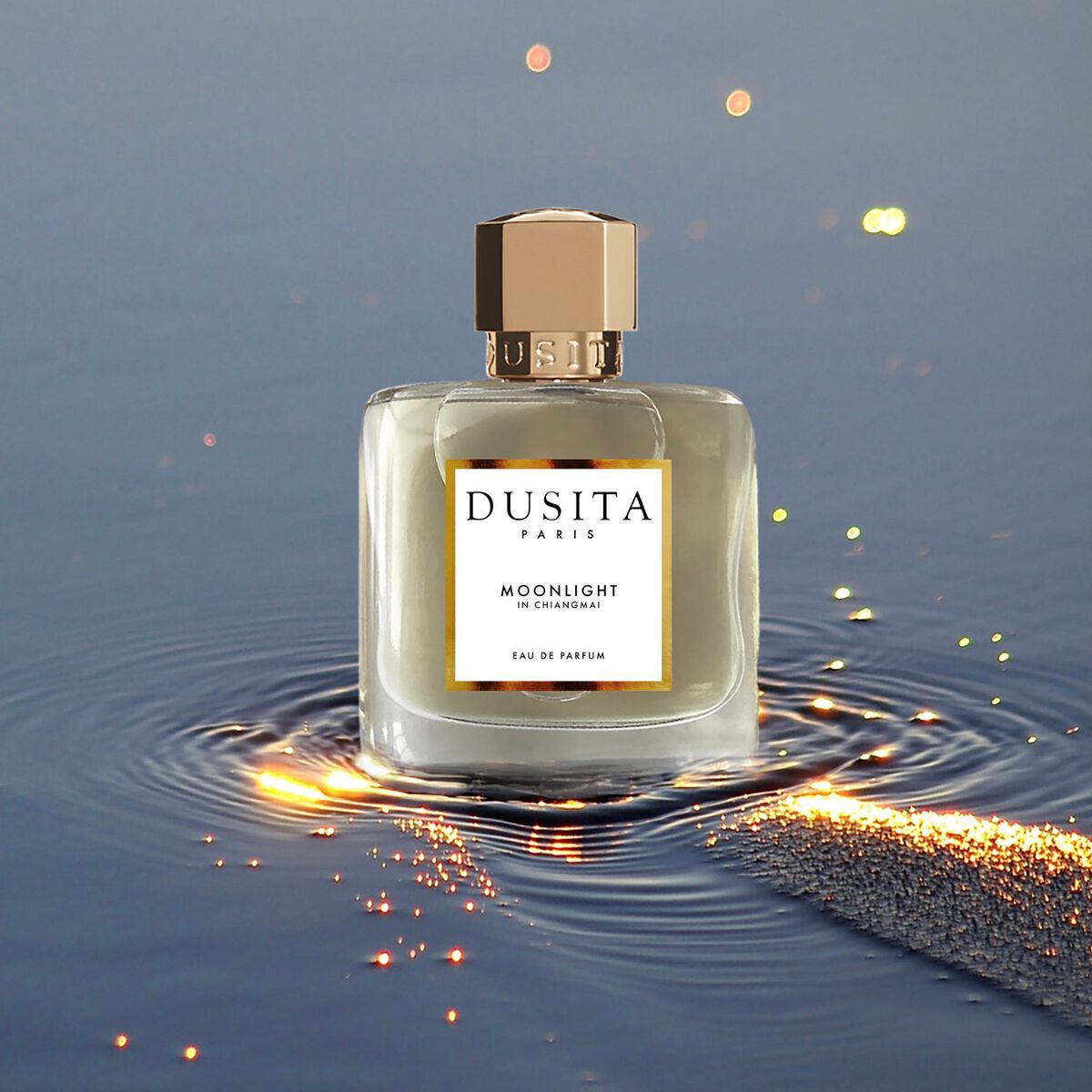 ムーンライト イン チェンマイ Dusita