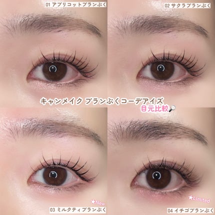 プランぷくコーデアイズ/キャンメイク/パウダーアイシャドウを使ったクチコミ(9枚目)