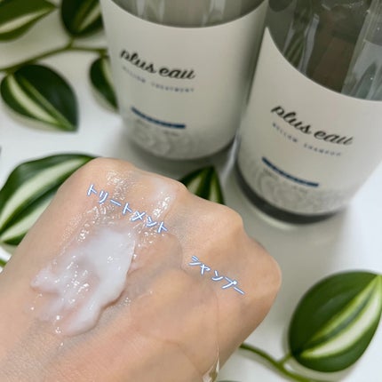 メロウシャンプー/メロウトリートメント/plus eau/市販シャンプーを使ったクチコミ(3枚目)