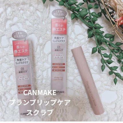 プランプリップケアスクラブ/キャンメイク/リップスクラブを使ったクチコミ(1枚目)