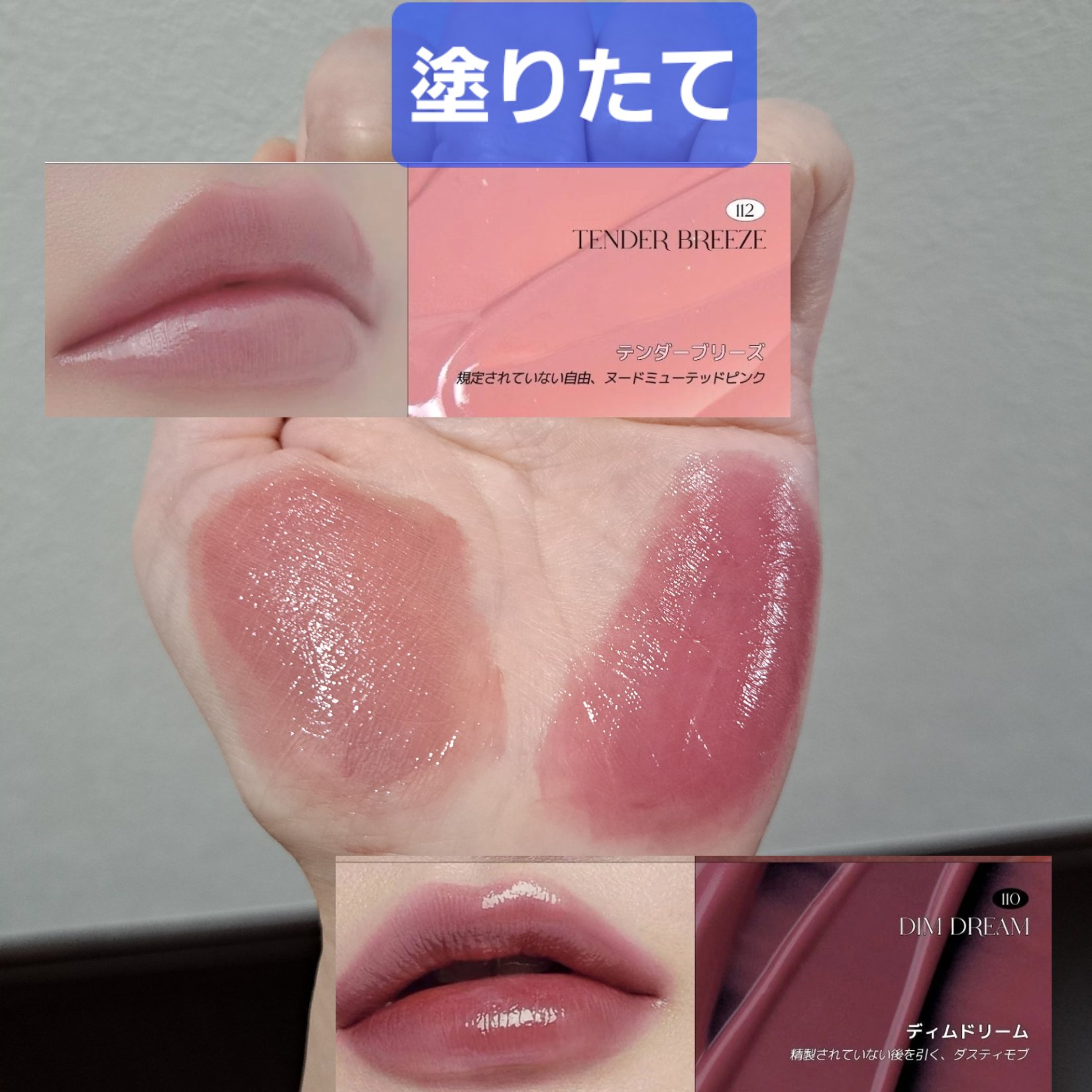 ノンセクショングローリーティント 110 ディムドリーム(DIM DREAM)/EQUMAL/リップティントを使ったクチコミ（1枚目）