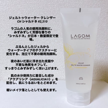 ジェルトゥウォーター クレンザー(CH)/LAGOM /その他洗顔料を使ったクチコミ(2枚目)