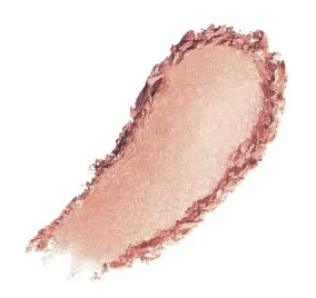 ハイドラパウダーブラッシュ crystal slipper クリスタルスリッパ—