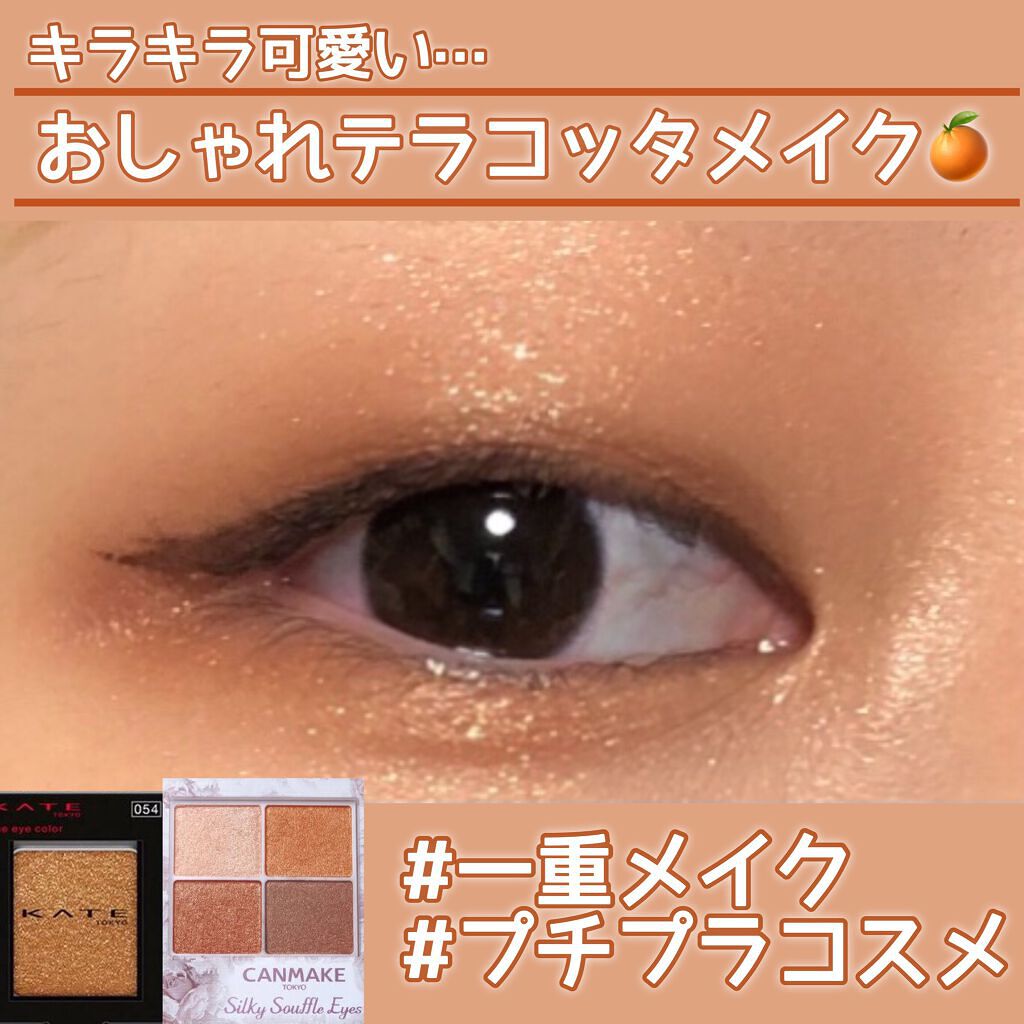 ケイト ザ アイカラー/KATE/単色アイシャドウを使ったクチコミ（1枚目）