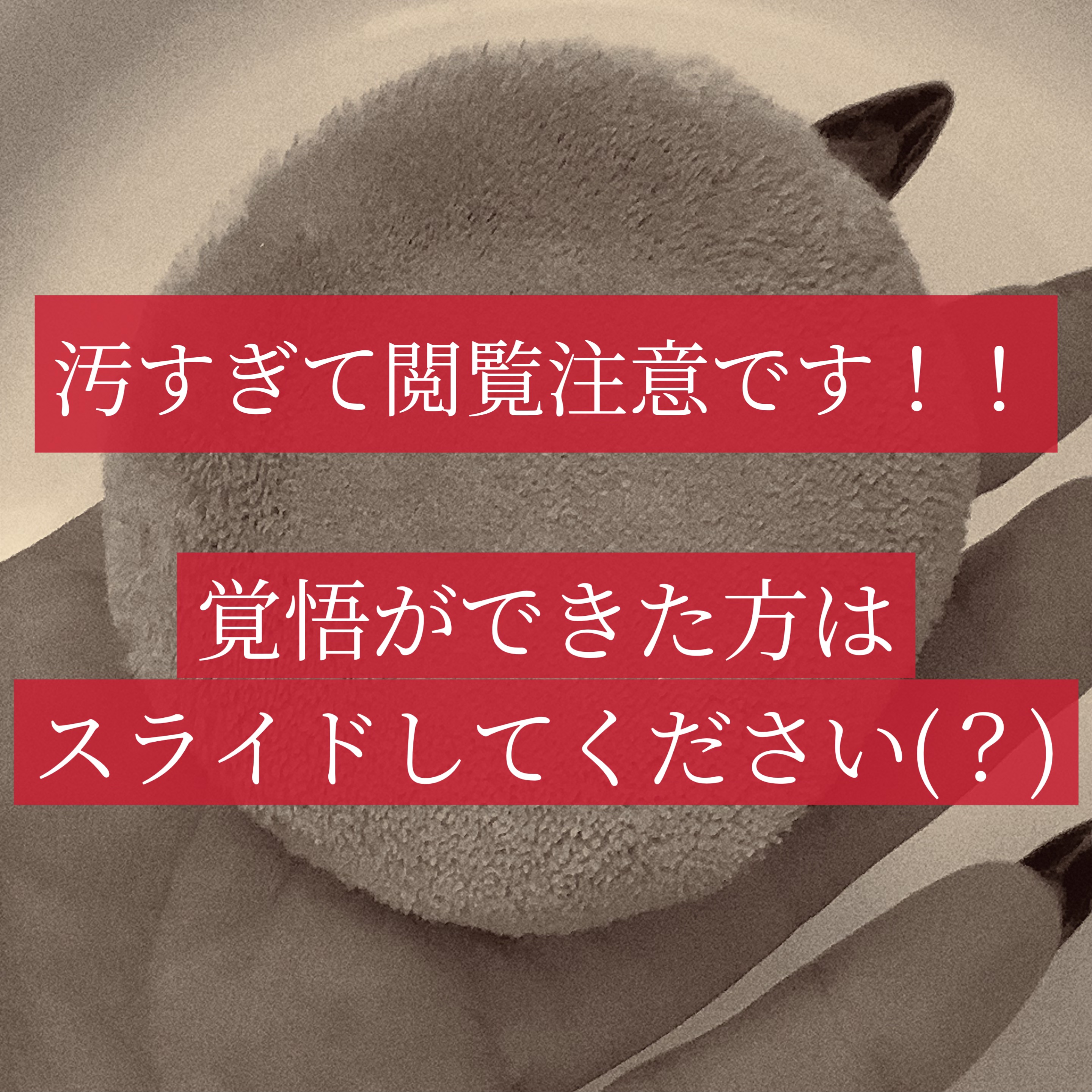 LJパフ・ブラシ洗浄液/セリア/その他化粧小物を使ったクチコミ（3枚目）