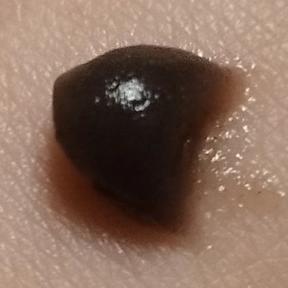 泥ジェル洗顔/ファンケル/その他洗顔料を使ったクチコミ（3枚目）