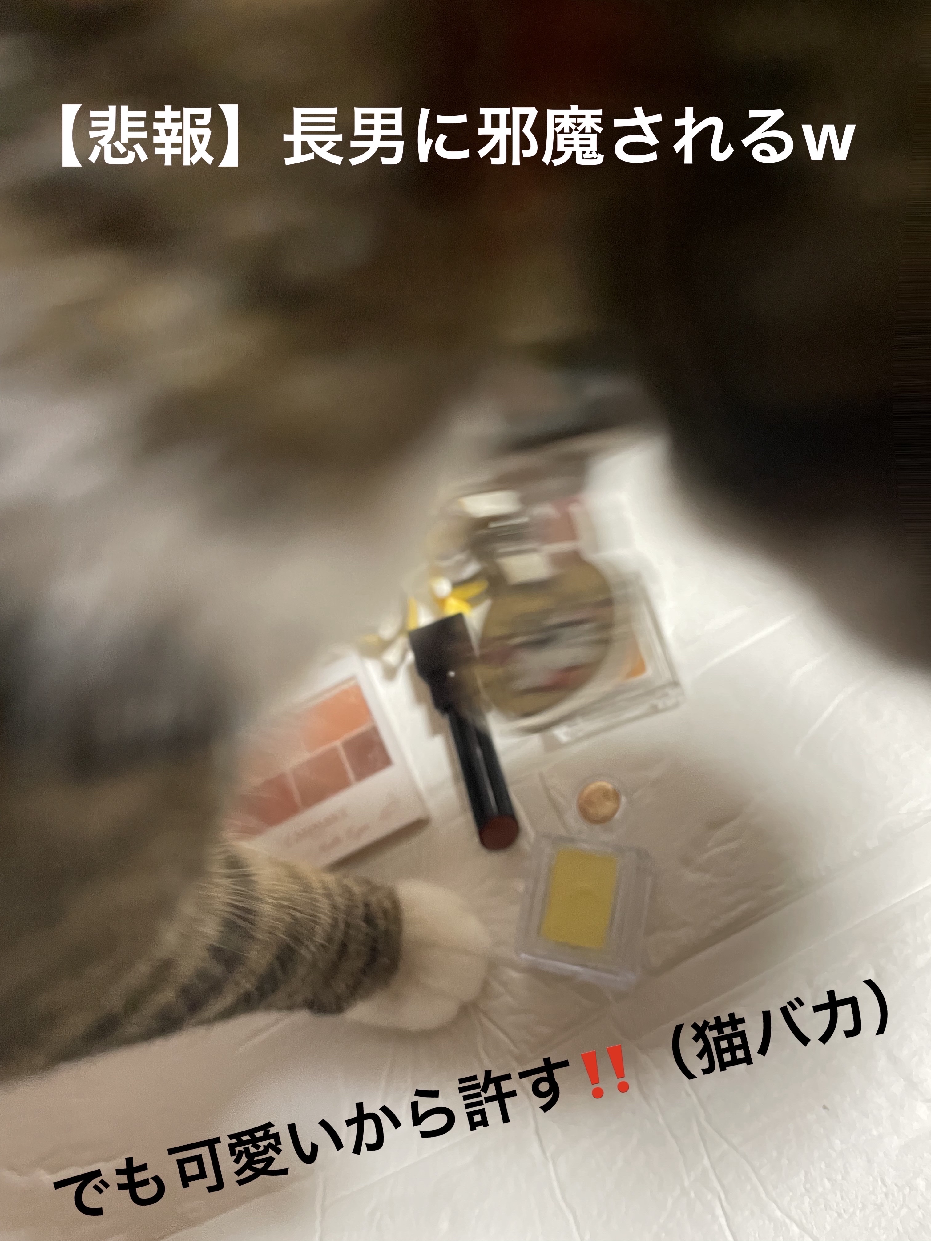 パラドゥ シングルアイシャドウ	/パラドゥ/単色アイシャドウを使ったクチコミ（2枚目）