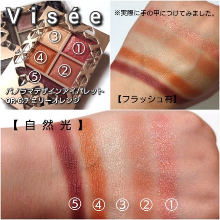 パノラマデザイン アイパレット/Visée/アイシャドウパレットを使ったクチコミ(4枚目)