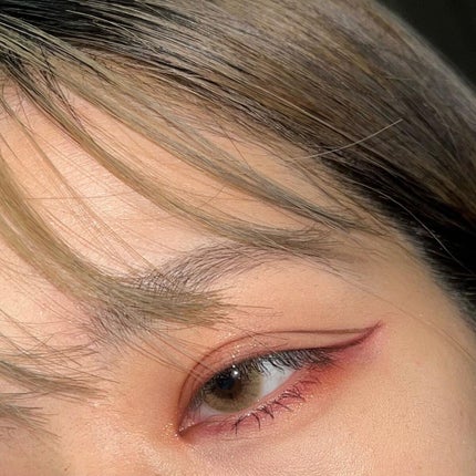 エクスプローラ12色 動物アイシャドウパレット/PERFECT DIARY/アイシャドウパレットを使ったクチコミ(4枚目)