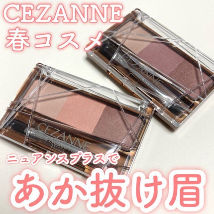 ノーズ&アイブロウパウダー/CEZANNE/パウダーアイブロウを使ったクチコミ(1枚目)