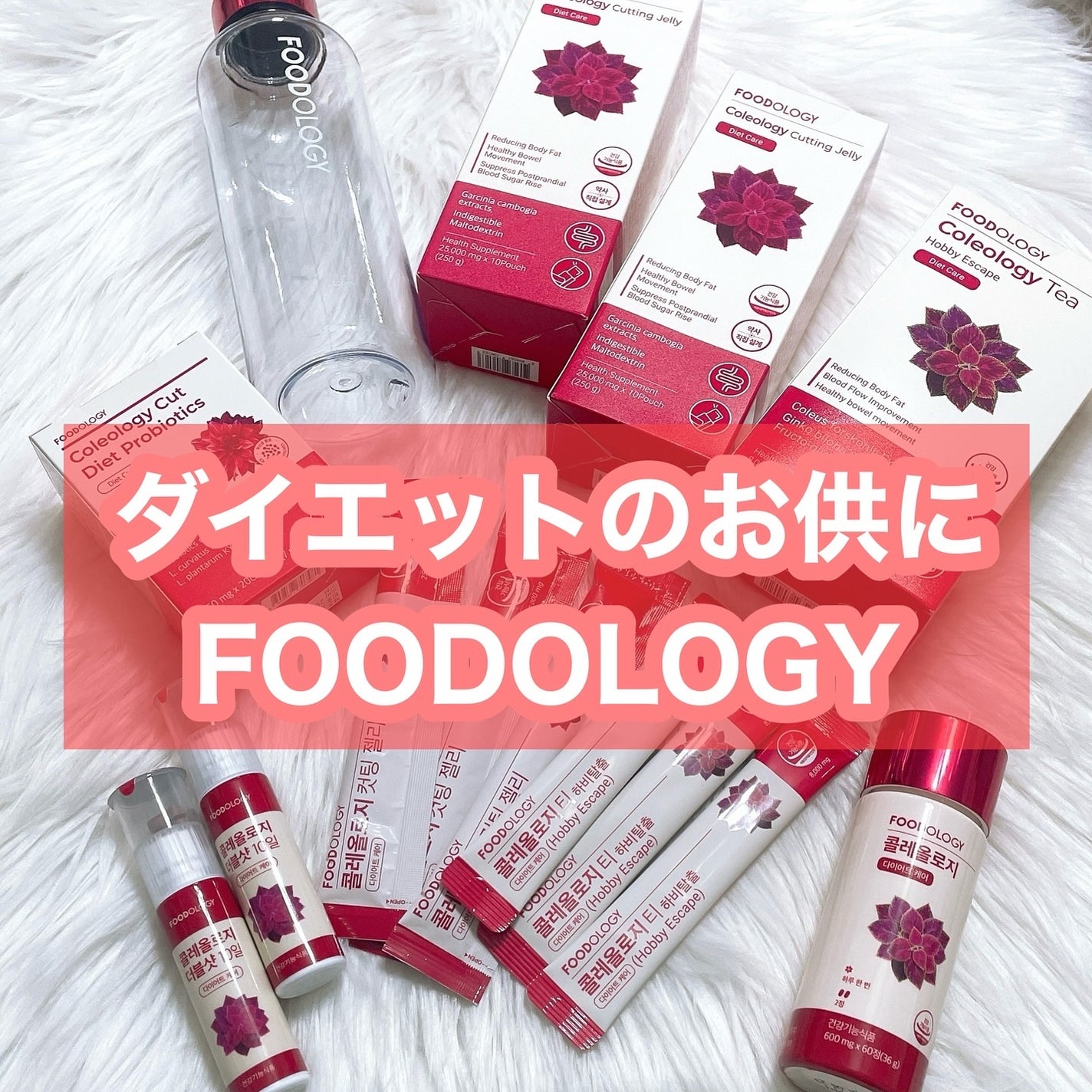 アップルサイダービネガークリスピー/FOODOLOGY/その他飲むお酢を使ったクチコミ(7枚目)