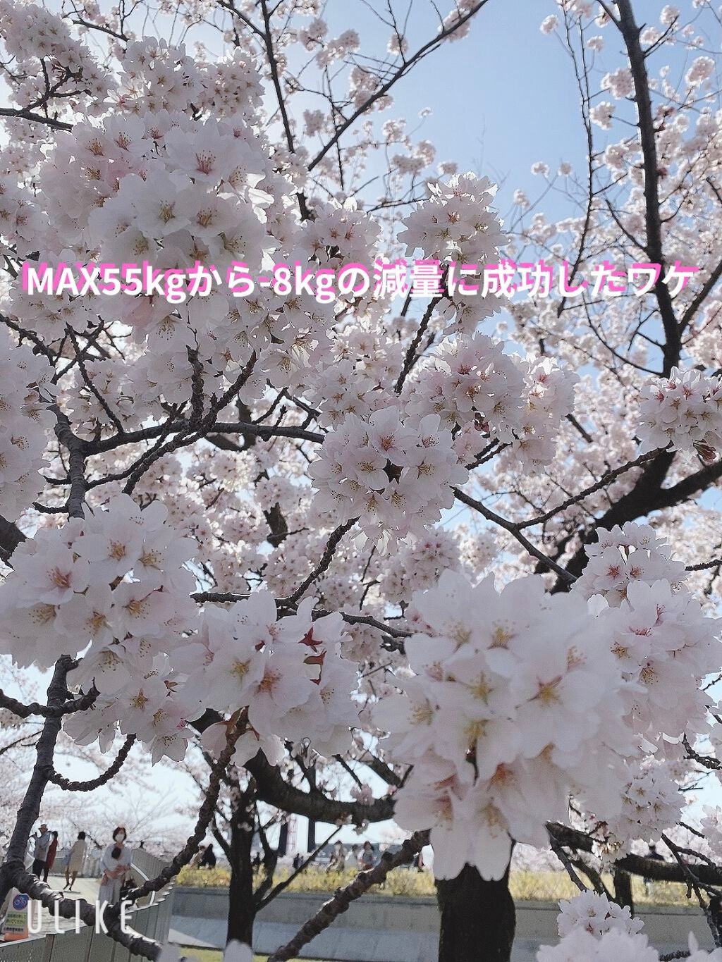 おいしい無調製豆乳/キッコーマン飲料/豆乳飲料を使ったクチコミ(1枚目)