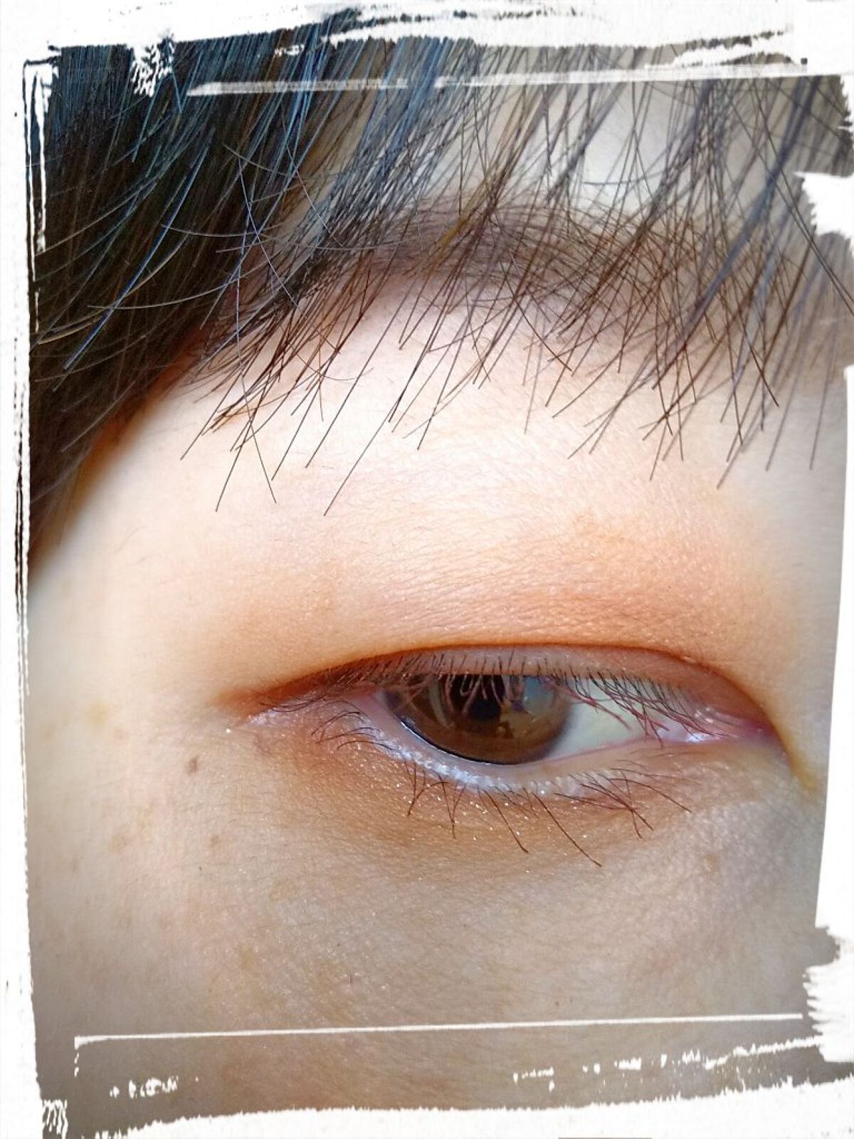 パーフェクトマルチアイズ/キャンメイク/アイシャドウパレットを使ったクチコミ（3枚目）