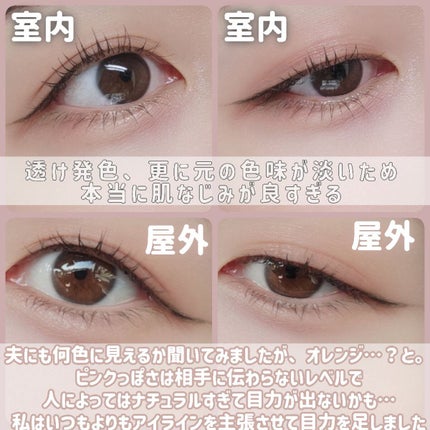 シルキースフレアイズ(マットタイプ)/キャンメイク/アイシャドウパレットを使ったクチコミ(9枚目)