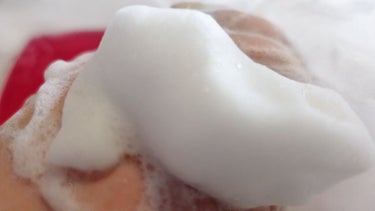 SHISEIDO ホネケーキ(ルビーレッド)のクチコミ「🌸SHISEIDO ホネケーキルビーレッド
☑1個440円のプチプラ洗顔石鹸
☑フゼア、アンバ.....」（2枚目）