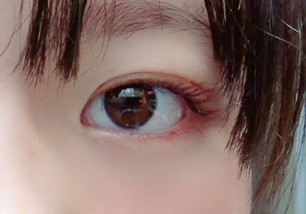 フリーファイバー120 スタンダードタイプ /メザイク/二重まぶた用アイテムを使ったクチコミ(2枚目)