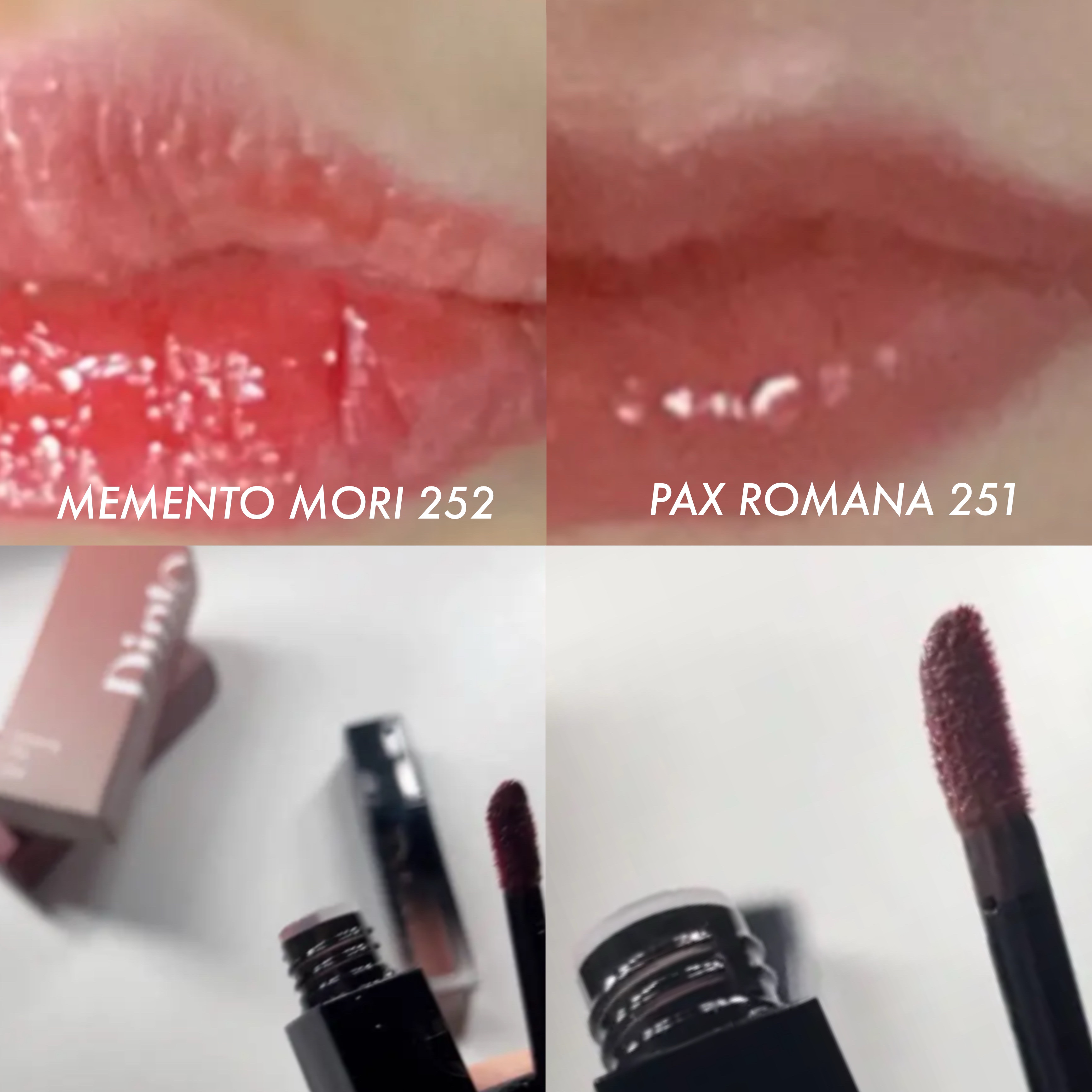 ブラーグロイリップティント ブラーグロウイMINIリップティント Duo (パックスロマーナ+メメントモリ) /Dinto/リップティントを使ったクチコミ（2枚目）