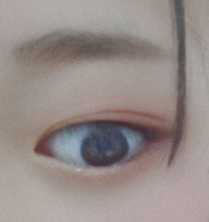 アイ カラー(チップ付)/ちふれ/アイシャドウパレットを使ったクチコミ(3枚目)