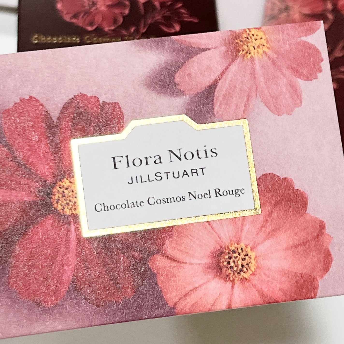 チョコレートコスモス ノエルルージュ メルティリップバーム/Flora Notis JILL STUART/リップバームを使ったクチコミ(7枚目)