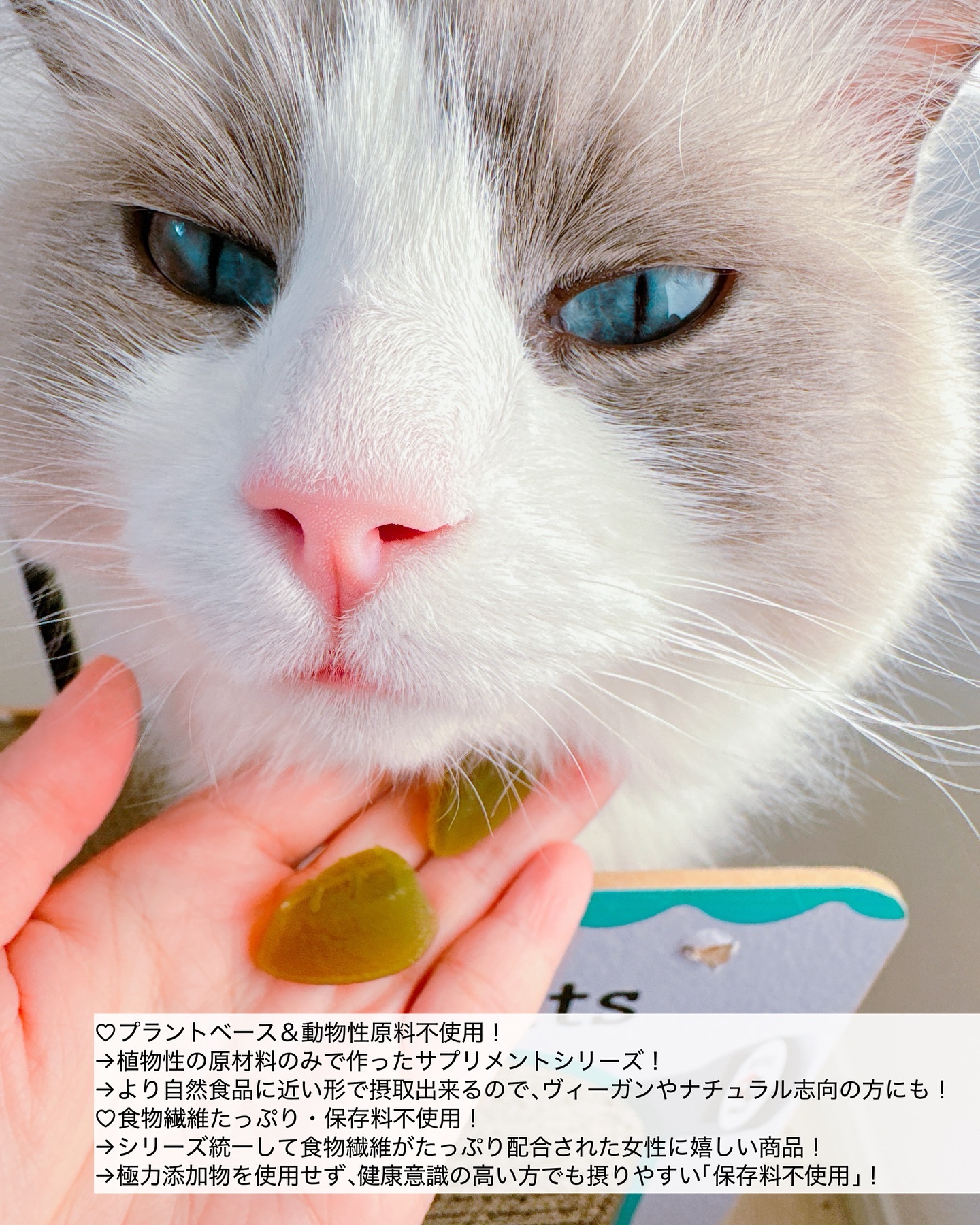 UHA グミサプリ　セラミド/UHA味覚糖/美容サプリメントを使ったクチコミ（3枚目）