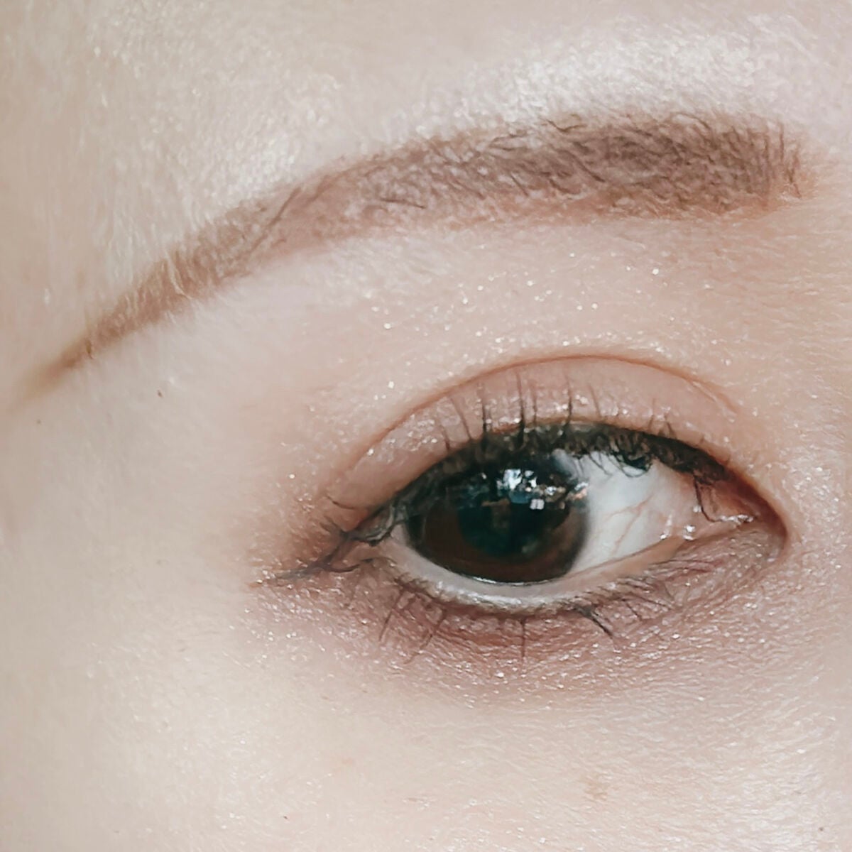 エレガンス エタンセル アルモニーアイズ/Elégance/アイシャドウパレットを使ったクチコミ(4枚目)