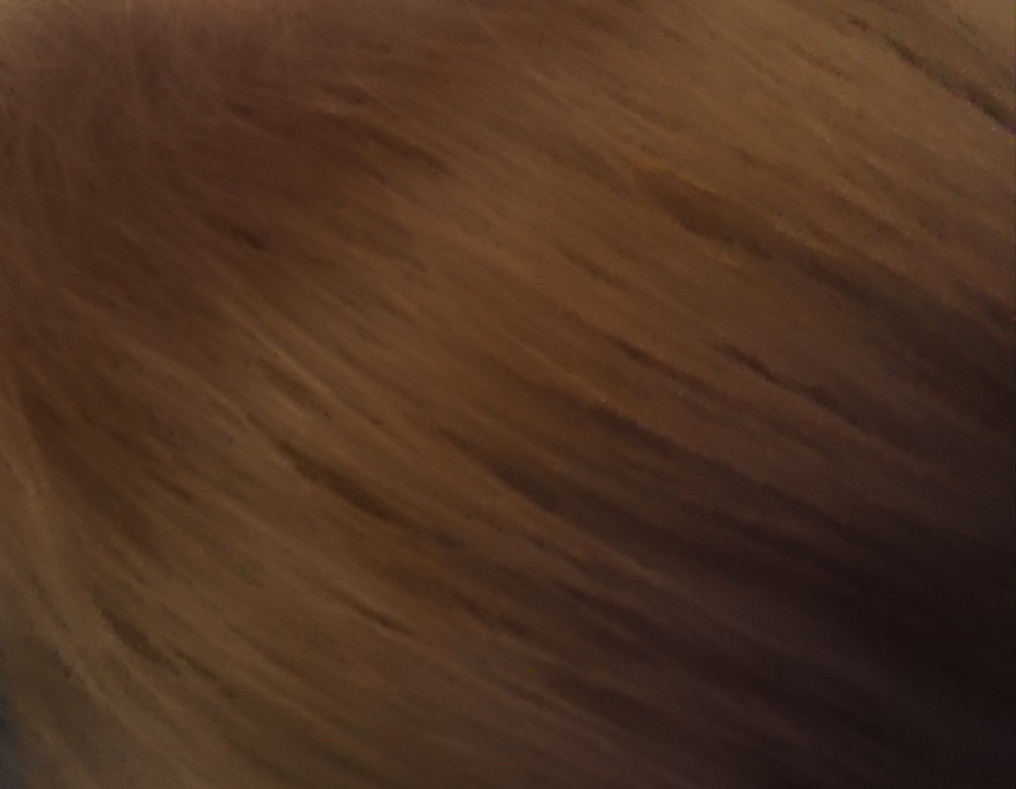 ホイップヘアカラー ミスティアッシュ/ビューティラボ/ヘアカラーを使ったクチコミ（3枚目）