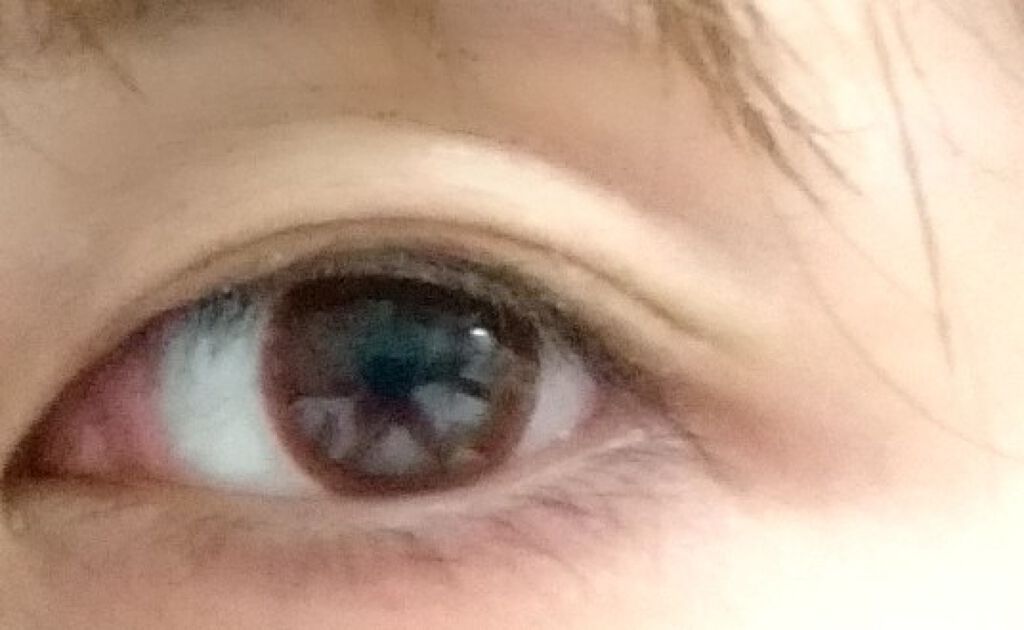 アーモンドブラウン/THEPIEL/カラーコンタクトレンズを使ったクチコミ（1枚目）